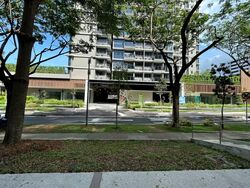 Bedok Central (D16), Shop House #556563831